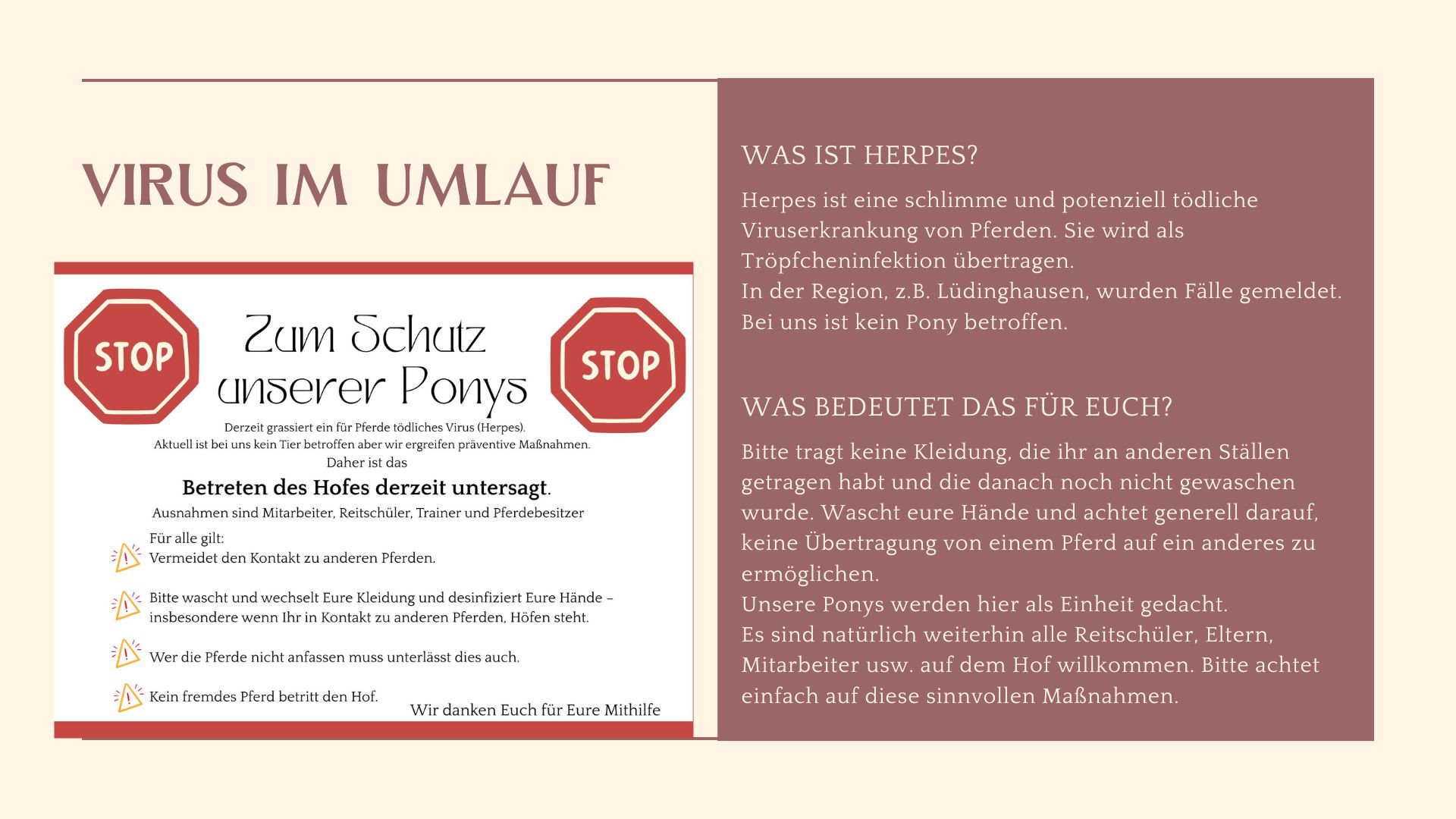 4. Reiterwochenende für Erwachsene 2019